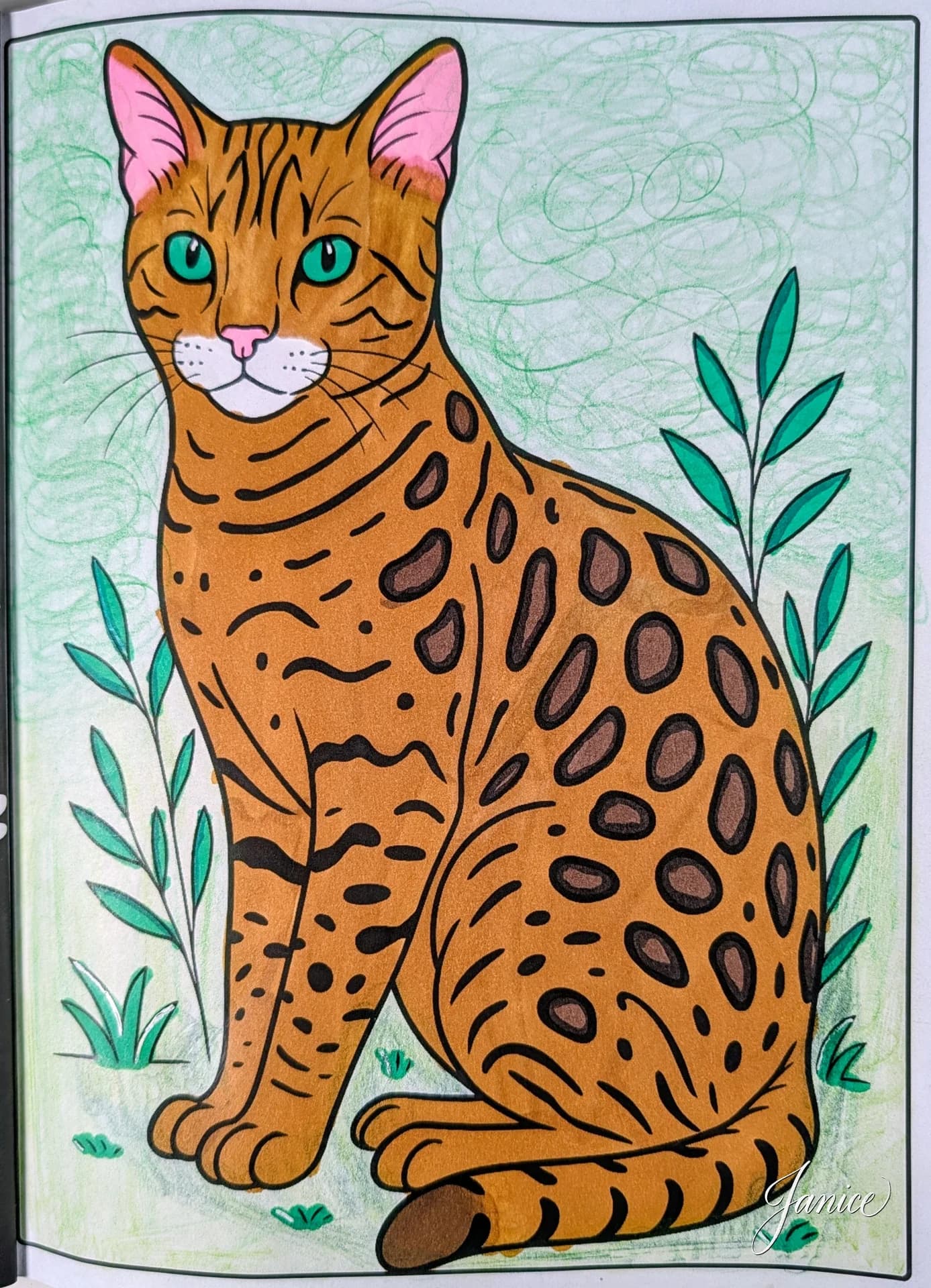 Beautiful Bengal Cat Coloring Page