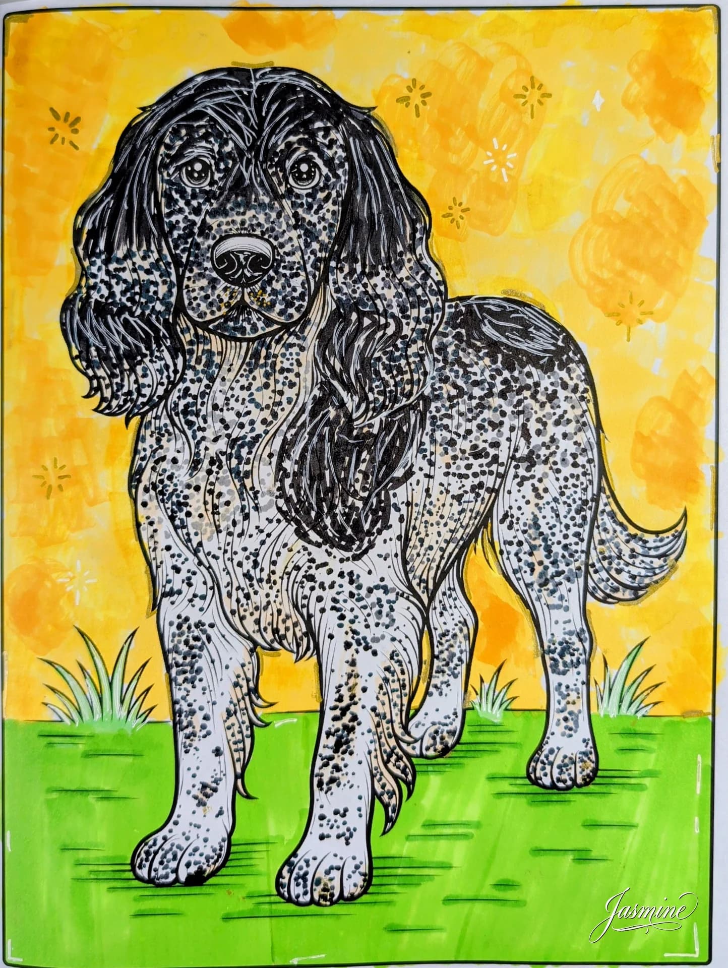 Cocker Spaniel Dog Coloring Page