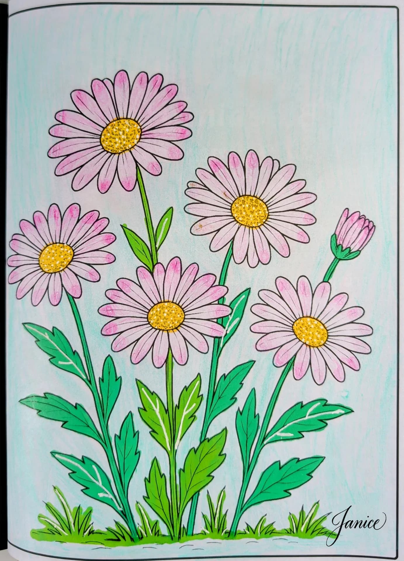 Daisies Flower Coloring Page