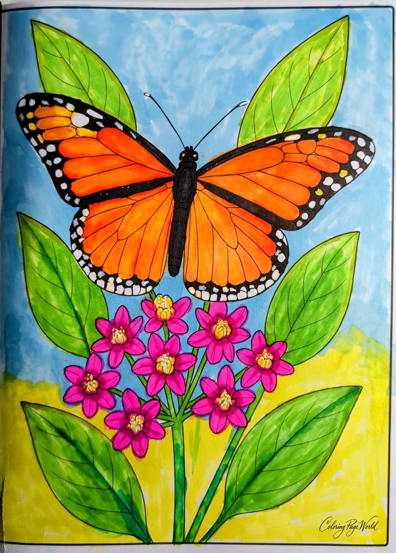 Monarch Butterfly Insect Coloring Page