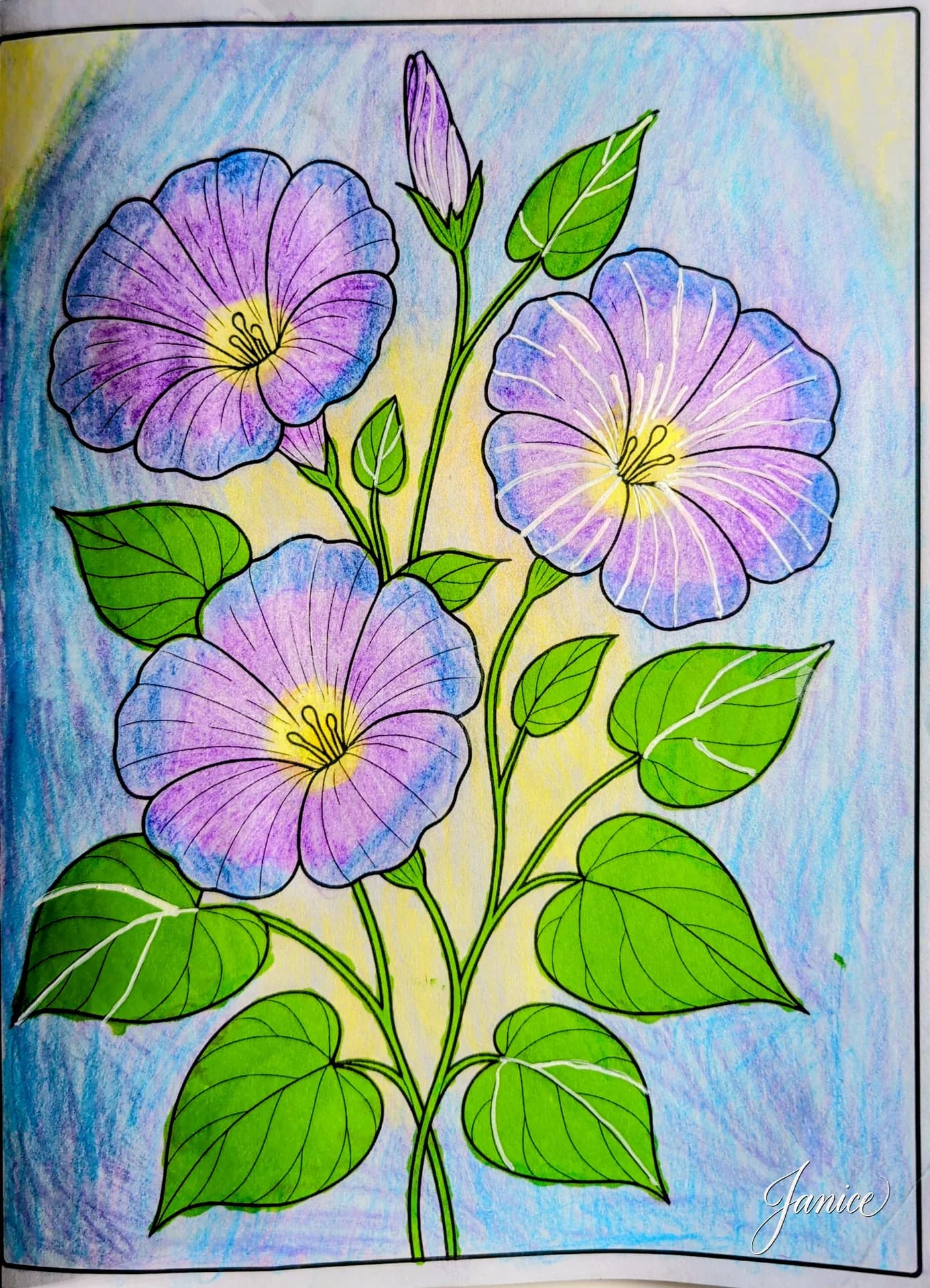 Morning Glory Flower Coloring Page